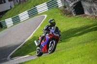brands-hatch-photographs;brands-no-limits-trackday;cadwell-trackday-photographs;enduro-digital-images;event-digital-images;eventdigitalimages;no-limits-trackdays;peter-wileman-photography;racing-digital-images;trackday-digital-images;trackday-photos